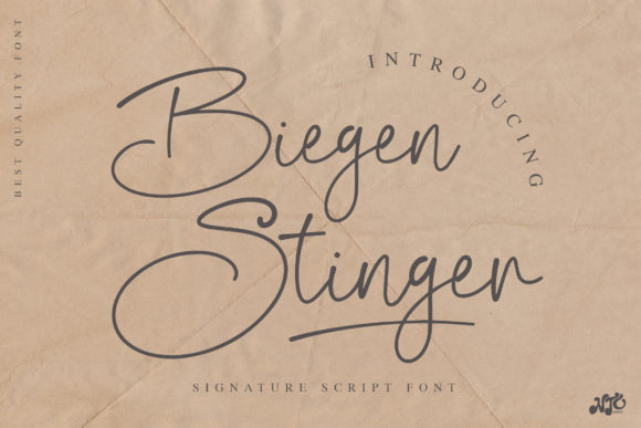 Biegen Stinger Script: A Classy Handwritten Font for Web Design