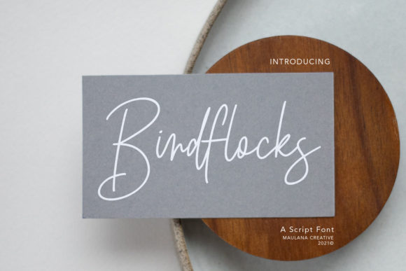 Birdflocks Script: The Fashionable Font That Elevates Your Campaigns