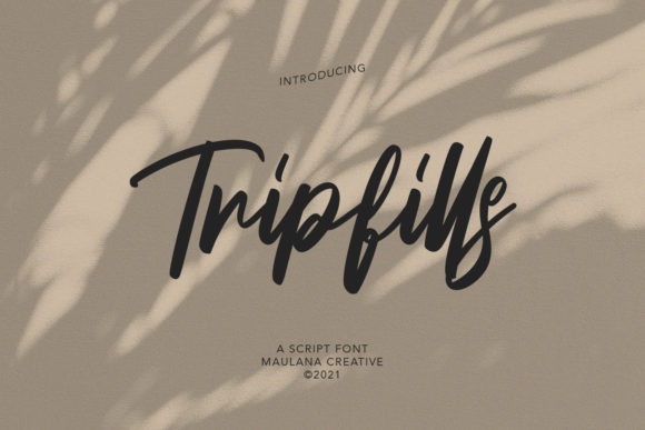 Enhance Your Brand with the Tripfills Script Font