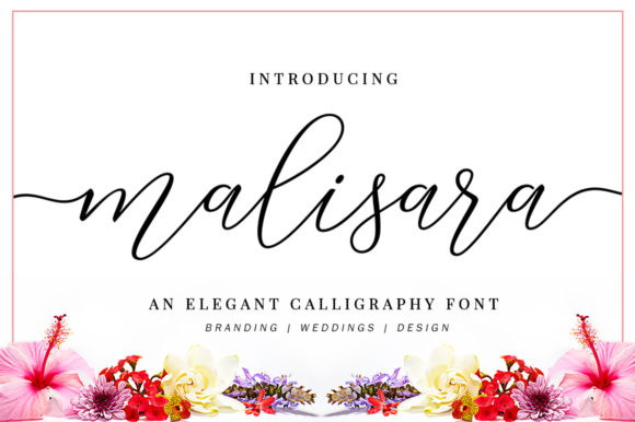 Malisara Script: A Romantic Handwritten Typeface for Creative Projects