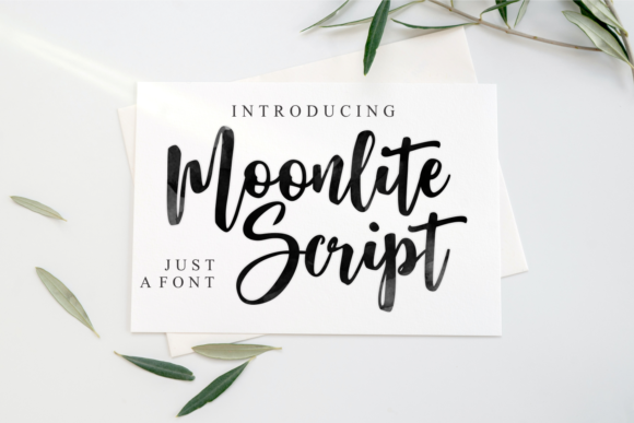 Moonlite Script Font for Fashionable Branding and Editorial Designs