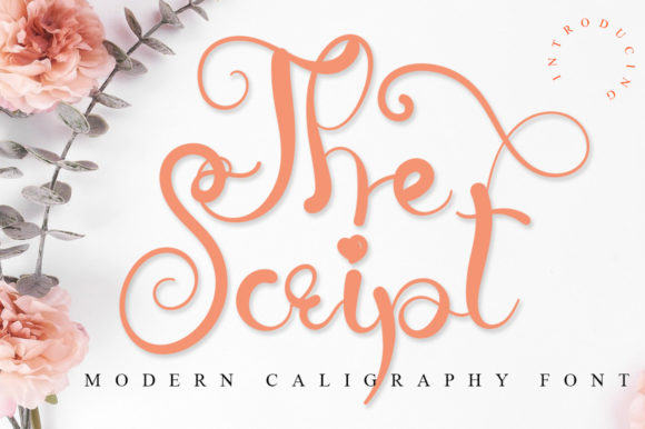 The Script Font: A Handwritten Typeface for Polished Branding